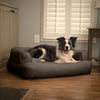 sleeper-sofa-dog-bed-lifestyle-hot-fudge1 of 10