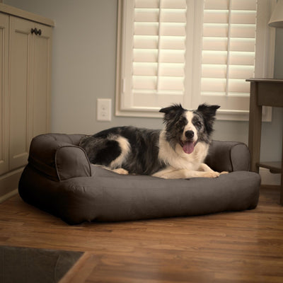 sleeper-sofa-dog-bed-lifestyle-hot-fudge_a2ca5caa-1e12-48a6-a640-3b73bef575421 of 10