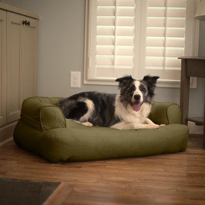 sleeper-sofa-dog-bed-lifestyle-olive_063d08d9-0577-461a-b179-4b61cc5304eb1 of 10