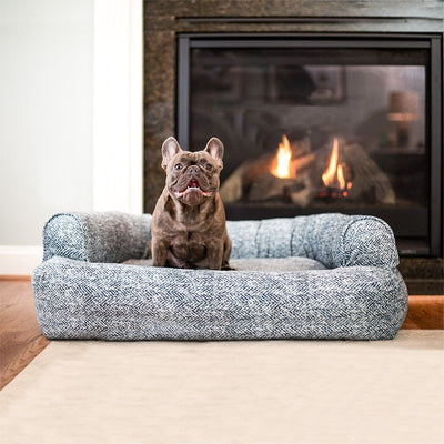 sleeper-sofa-dog-bed-lifestyle-palmer-indigo2_ae33b667-c64f-47fc-ac9b-232b6bf8b7301 of 12