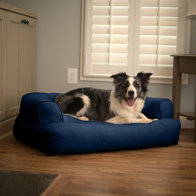 sleeper-sofa-dog-bed-lifestyle-sapphire-1-81 of 10