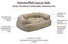 snoozer-overstuffed-sofa-virtues-horizontal-real_0657df28-442e-468d-9aec-272229b0145e2 of 10